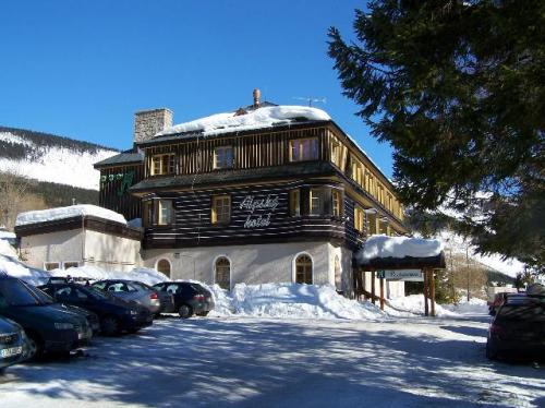 Foto - Accommodation in Špindlerův Mlýn - Alpský hotel
