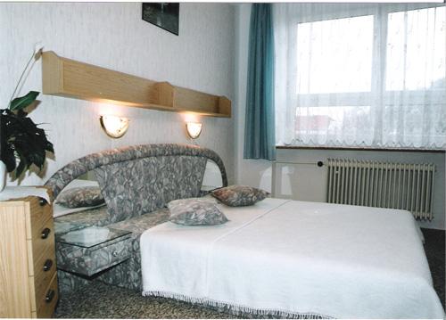 Foto - Accommodation in Krásná Lípa - Hotel Beseda