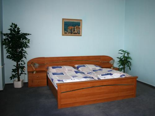 Foto - Accommodation in Havlíčkův Brod - Penzion STARR