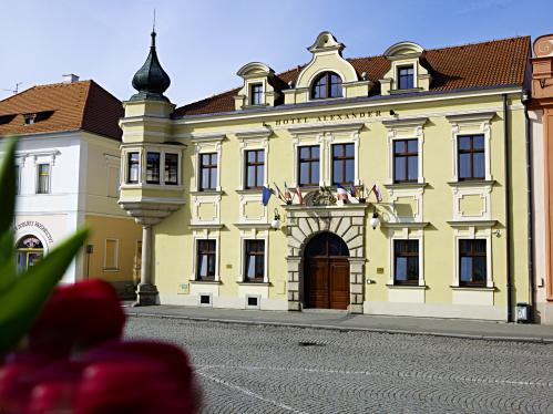 Foto - Accommodation in Stříbro - Hotel Alexander