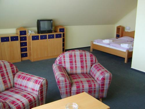 Foto - Accommodation in Chvalovice - Hotel ITVV****